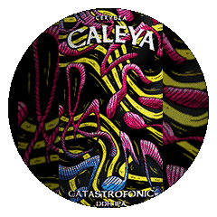 Caleya Catastrofonic DDH IPA en Gijón / Xixón