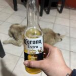 Opinión de Alex Cenit sobre Corona en El radio/ Centro Histórico, San Luis Potosí - México